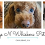 Wags N Whiskers Pet Care