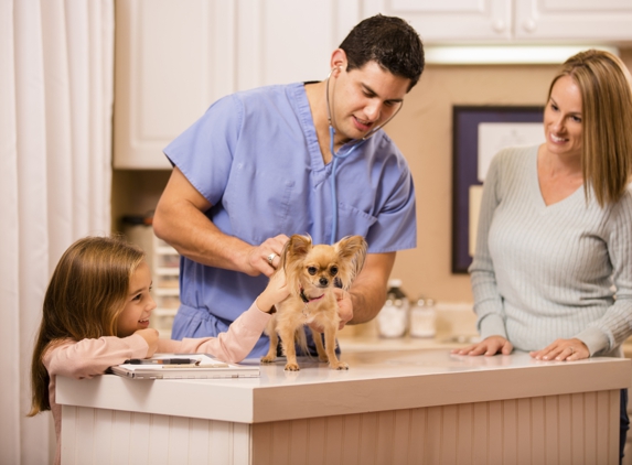 InstaVet Home Veterinary Care - Forest Hills, NY