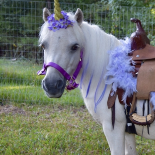 Half Pint Pony Parties & Petting Zoo - Bullard, TX