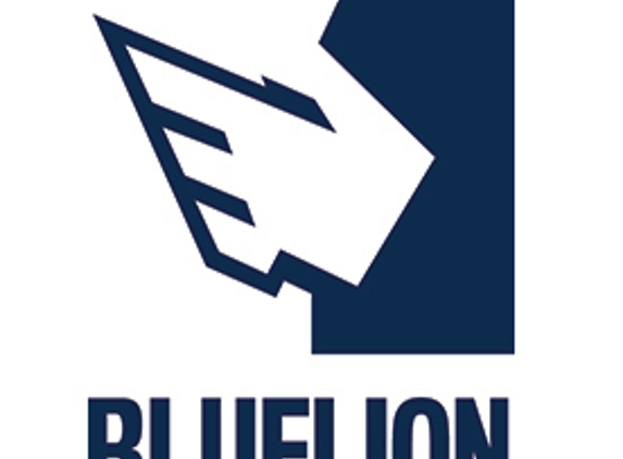 Blue Lion Digital - Easley, SC