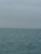 Space Coast Segway Tours - Sightseeing Tours
