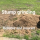 Low-cost stump grinding inc.