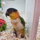 Fins Feathers Paws Claws - Pet Stores