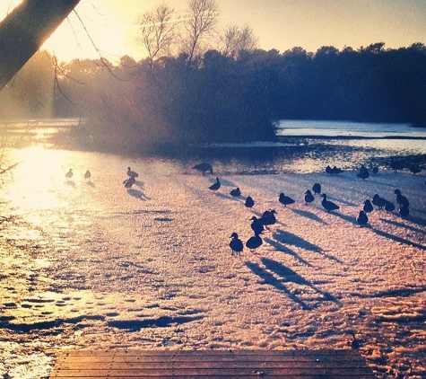 Quogue Wildlife Refuge - Quogue, NY