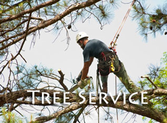 Brock's Tree Service - Saint Charles, MO