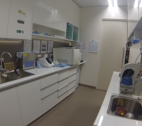 Dentist For Chickens - Swansea Dental Care - Blacksmiths, NSW