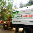 Avid Tree Care - Arborists