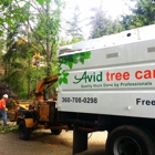 Avid Tree Care