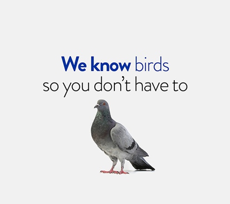 Termitrust Pest Control Experts - Kunda Park, QLD
