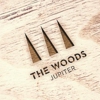 The Woods Jupiter gallery