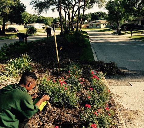 Helping Hand Lawn Care - Clermont, FL