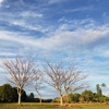 Grove Farm Museum gallery