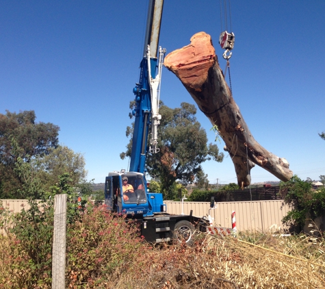 Kendall's Tree Service - Lake Albert, NSW. stump removal wagga