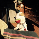 Doggie Dude Ranch - Pet Boarding & Kennels