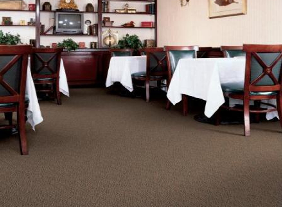 Carpet & Fabric Technicians Inc - Elburn, IL