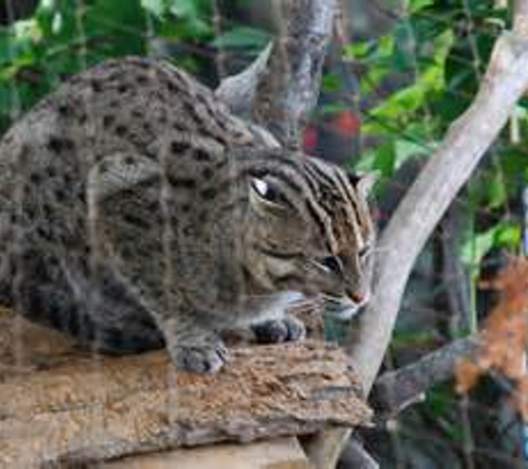 Potter Park Zoo - Lansing, MI