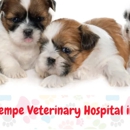 Tempe Veterinary Hospital. - Pet Services