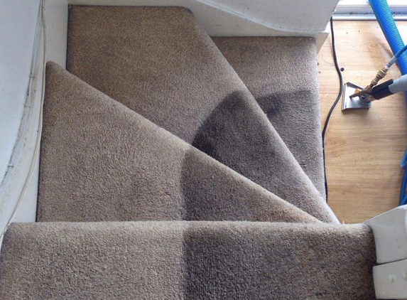 Expert Carpet CleaningDFW - Irving, TX