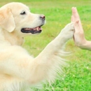 Canine Behavior Center - Kennels
