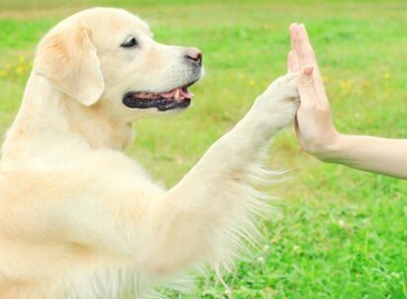 Canine Behavior Center - Redmond, WA