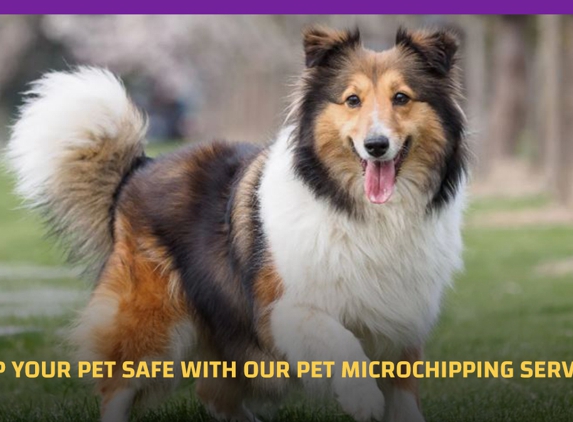 Orchard Hills Veterinary Hospital - Orchard Hills, NSW. Keep Your Pet Safe With Our Pet Microchipping Services