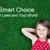 NexGreen Lawn and Tree Care gallery