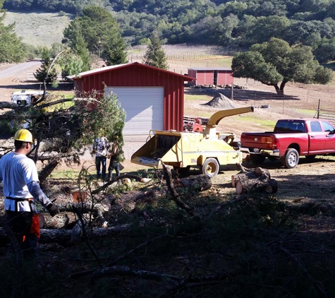 Mike's Tree Service - Napa, CA