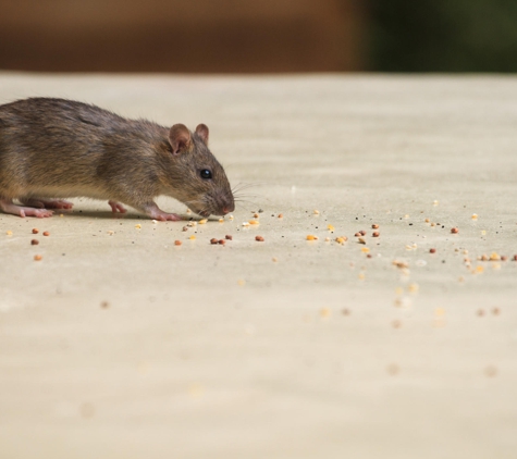 Waltham Pest Services - Agawam, MA