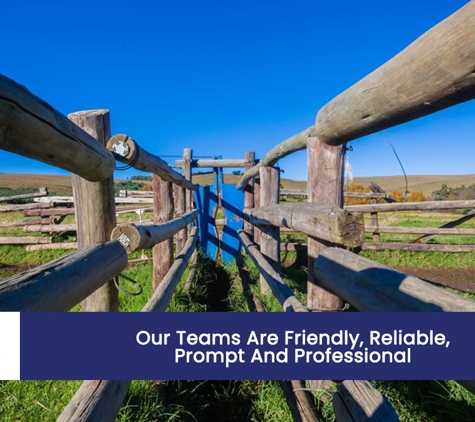 MacCallum & Co. Our Teams Are Friendly, Reliable, Prompt And Professional