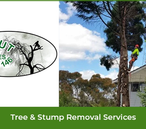 Ezi cut tree services - Hill Top, NSW. Tree & Stump Removal Services