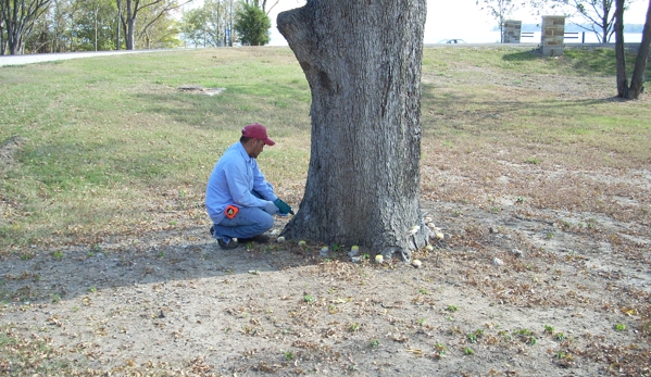 McKee Tree Service - Mabank, TX