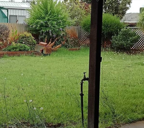 G R Lawn Mowing and Gardening - Australind, WA. Before