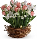Springville Floral & Gift - Florists