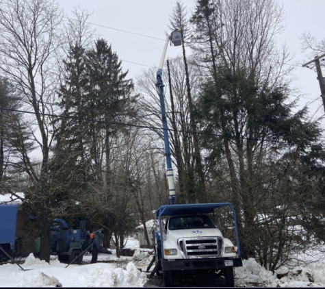 Hawthorne Brothers Tree Service, Inc. - Bedford Hills, NY