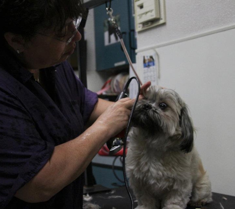 Lake Forest Animal Clinic - Lake Forest, CA