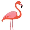 Flamingo Rides gallery