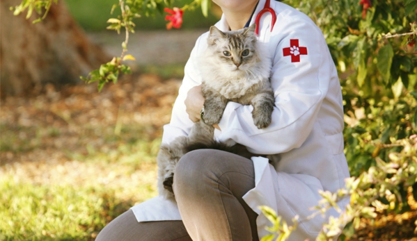 My Pets Animal Hospital - Lakeland, FL