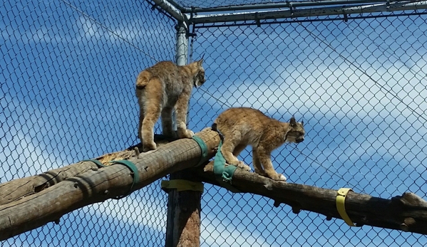 Heritage Park Zoological Sanctuary - Prescott, AZ