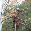 ADAMS TREE SERVICE INC. - Tree Service