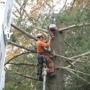 ADAMS TREE SERVICE INC.