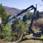 Lake Chelan Tree Service