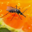 Graduate Pest Solutions Inc - Pest Control Equipment & Supplies