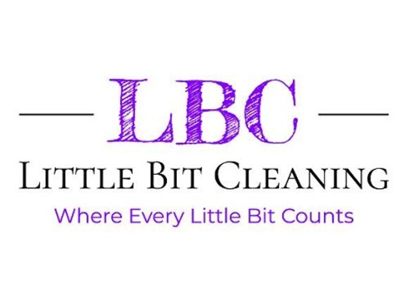 Little Bit Cleaning - Denver, CO