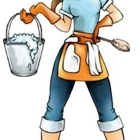 Maid In The South Cleaning Services