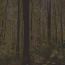 Hewitt's Archery & Pro Shop - Hunting & Fishing Preserves