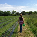Cullipher Farm - Farming Service