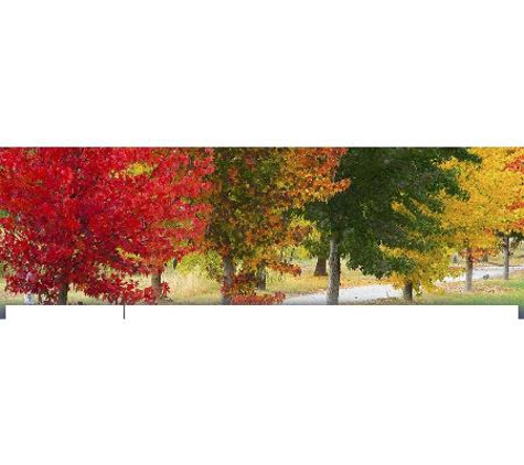 Belmores (CRM) Chartered Accountants Myrtleford - Myrtleford, VIC