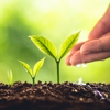 Tech Growth Strategies Corp gallery