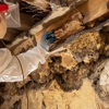 C & D Pest Control gallery