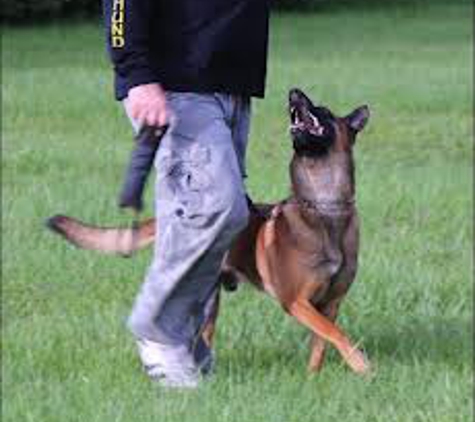 Hal's Pals Professional Dog Training - Saint Joseph, MI